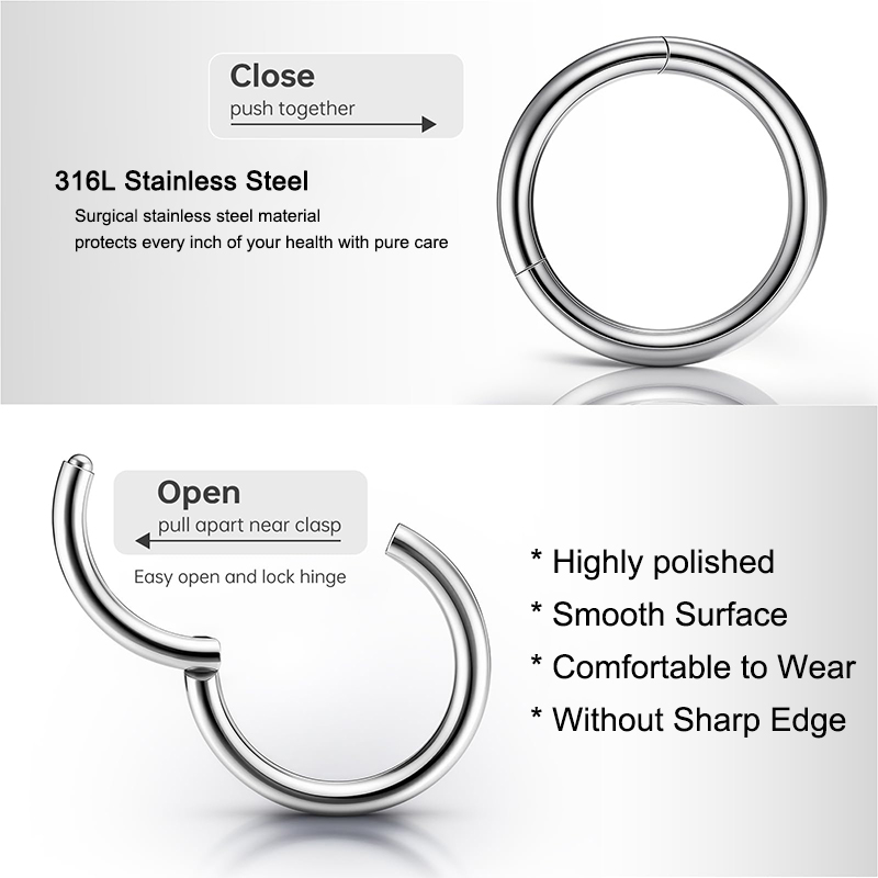 16G 316L Surgical Steel Hinged - đánh giá và giá Body Jewelry Lip Ring
