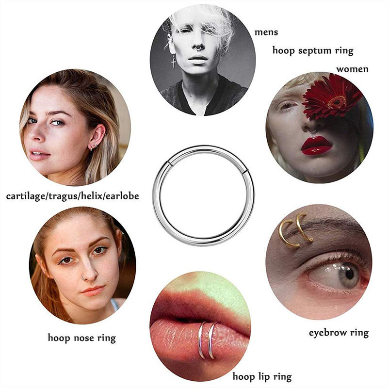 16G 316L Surgical Steel Hinged - đánh giá và giá Body Jewelry Lip Ring