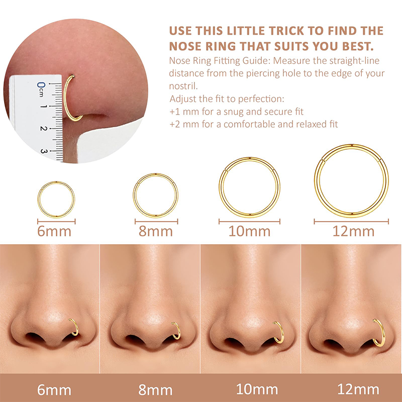 16G 316L Surgical Steel Hinged - đánh giá và giá Body Jewelry Lip Ring