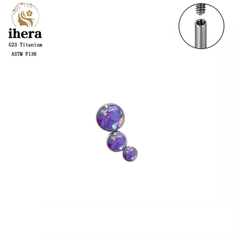 G23 Titan Tròn Đính Đá Zircon  - đánh giá và giá Body Jewelry Lip Ring